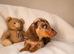 Miniature dachshund