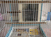 Pawhut cage