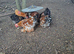 Pekin bantam Cockerells