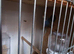 Budgies With a cage for sale