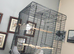 Parrot cage for sale 40CM by 39 and 60 height