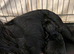 Cocker spaniel