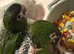 Hand reared hahns macaw (male)