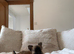 Two beautiful long coat chihuahuas available