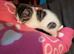 Tiggs