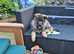 Germanshepard girl