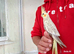 Super silly hand tamed baby cockatiels