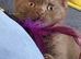 British shorthair kittens rare color
