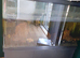 Extremely large fish tank