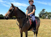 Quiet children&rsquo;s pony/ child&rsquo;s school mistress