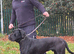 Lo Raso Cane Corso UK founder