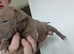 Looking for forever home