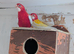 2 Rosellas for sale, 1 rubino and 1 lutino