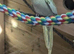 Proven pair of cockatiels