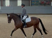 Allrounder/intermediate/teenagers