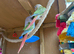 2x 12 week old conures