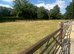 Loving Home waiting for bomb proof horse ideally 15.2 /16 hands for hacking only