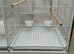 White bird cage - new