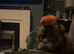 Rehoming French bulldog