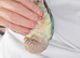 Super Tamed Baby Conure