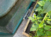 Fish pond for sale