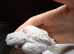 Albino lutino and other budgies