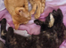Luna, Zuko, Persik and Sushi