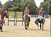 2 stables available for backing and schooling livery
