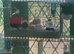 Proven pairs gouldfinches