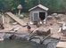 Ducks for sale (Pintails, Pochards, Woodducks)