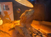 Male bearded dragon