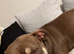 Female for rehoming