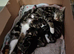 2 kittens 9 weeks old