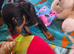 7 weeks old doxie pins