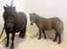 Adorable miniature Shetland mare and foal