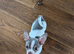 KC reg beautiful chihuahua puppies X2 boys left