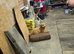 cavapoo puppy for sale