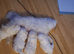Maltese Mini Puppies