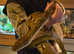 Lovely tame large reticulated python