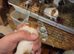 Male guinea pigs