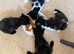 2 girl and 2 boys waiting for loving homes