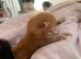 Beautiful kittens for sale!