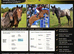 Registerd Appaloosa x warmblood