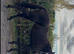 Stunning black mare