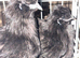 Trio POL Black Silkies