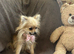 Selling my little girl named tiny