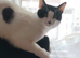 Need Rehoming as soon as possible
