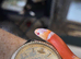 Milk snake with enclosure
