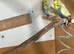 Female budgies