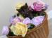 British shorthair mix kittens for sale